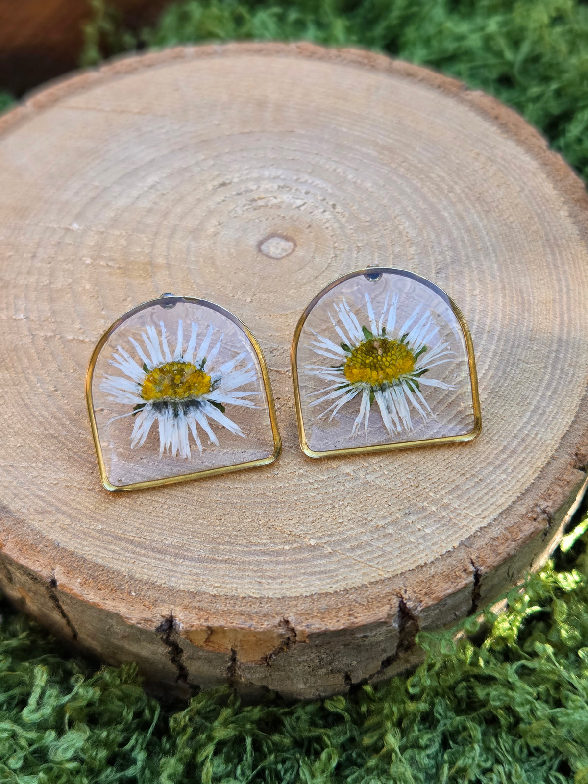 Arch daisy floral stud earrings