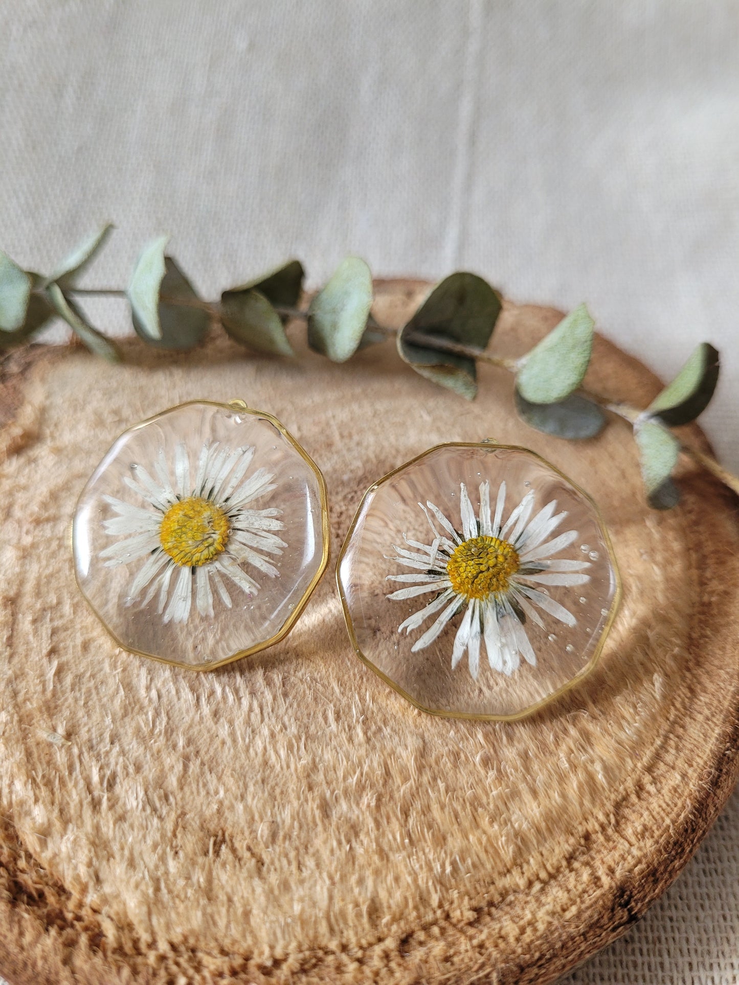Pressed Daisy Brass Stud Earrings