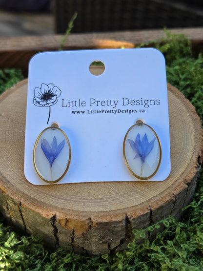 Oval stud earrings