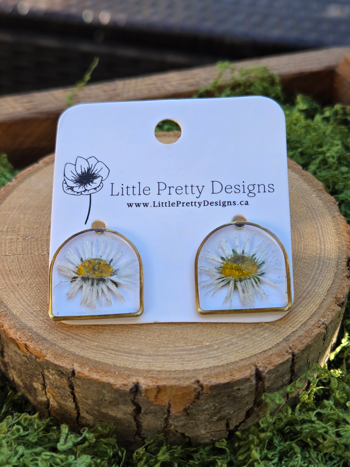 Arch daisy floral stud earrings