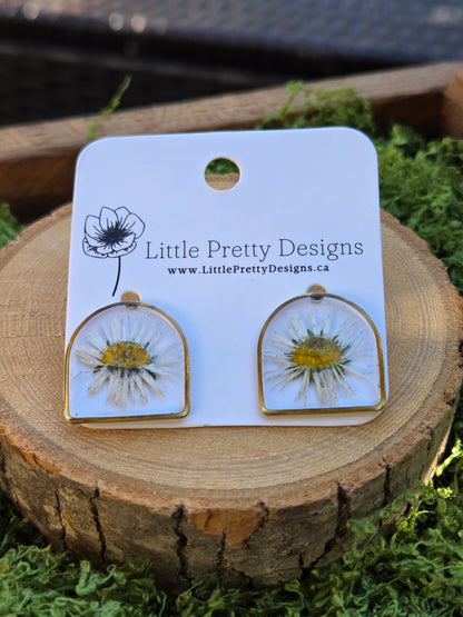 Arch daisy floral stud earrings