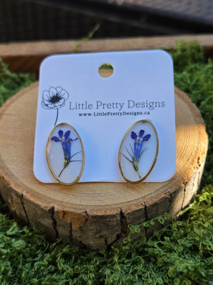 Oval stud earrings