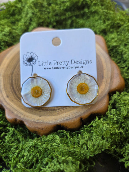 Round stud earrings