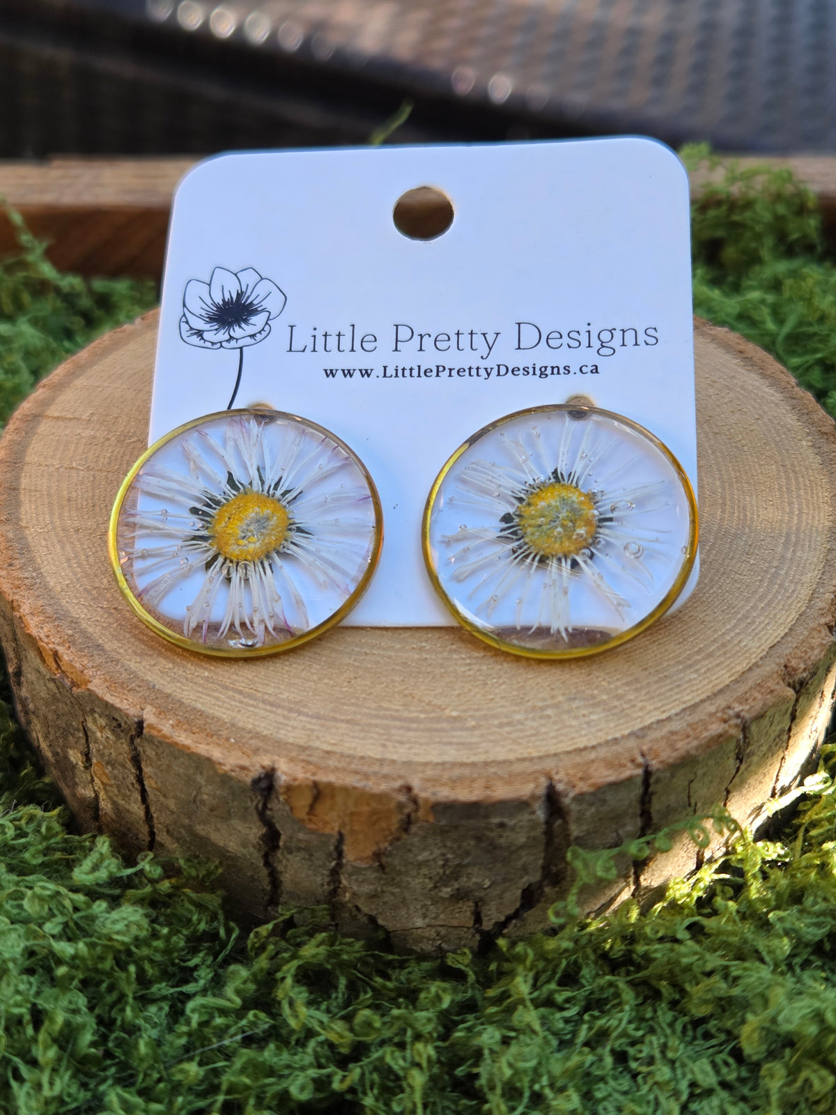 Daisy flower round stud earrings