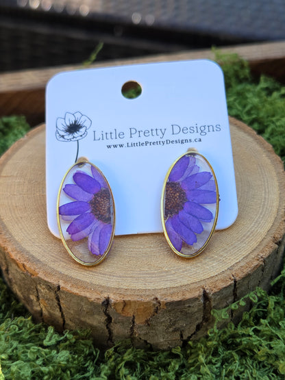 Oval stud earrings