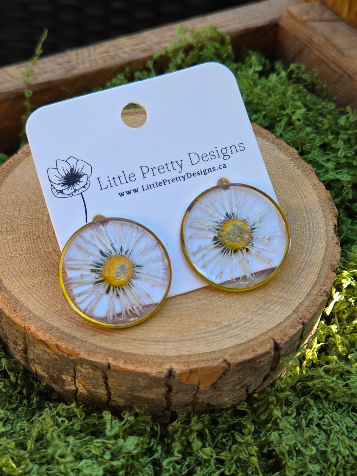 Daisy flower round stud earrings