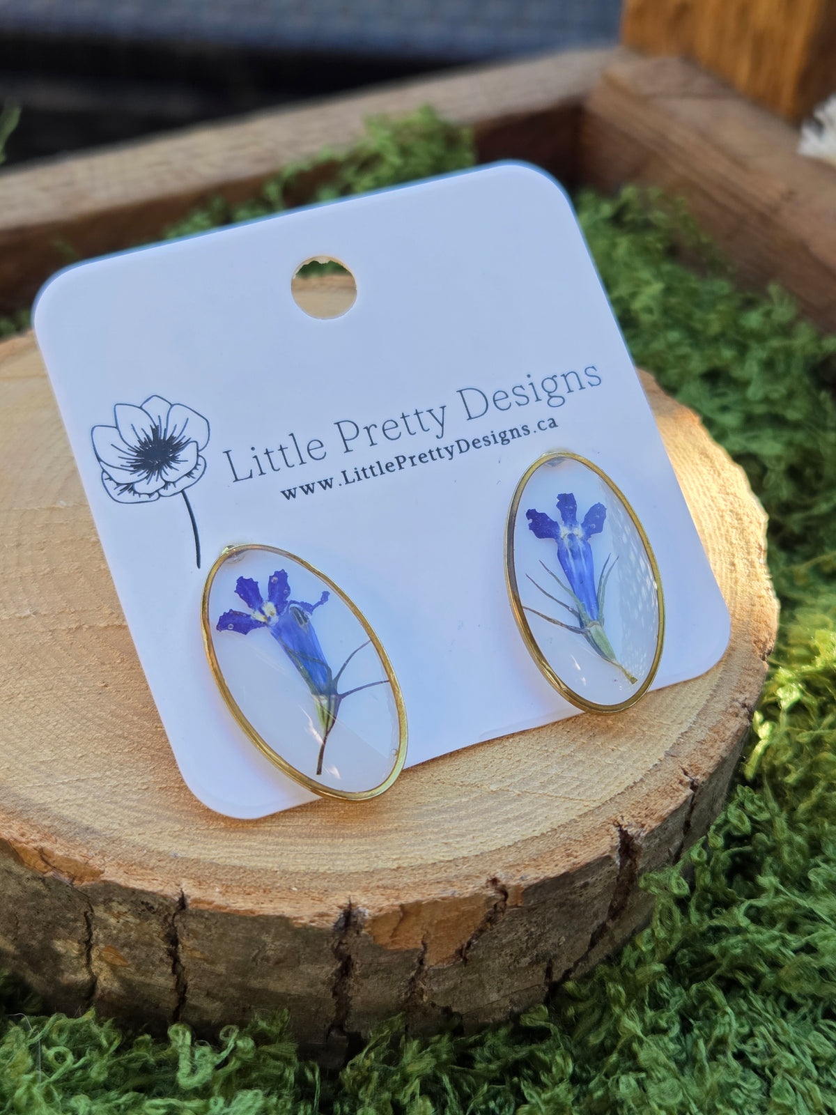 Oval stud earrings