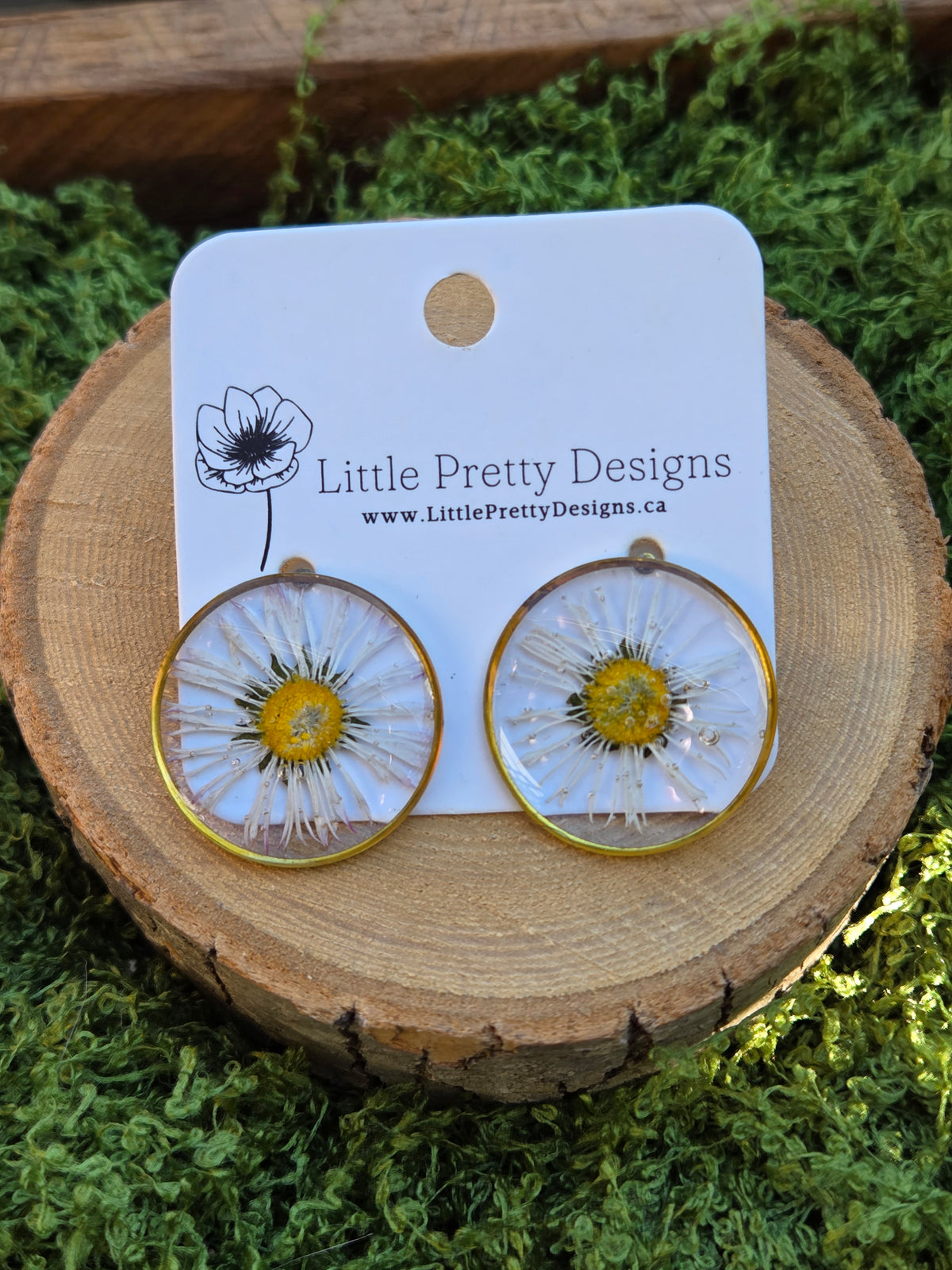 Daisy flower round stud earrings