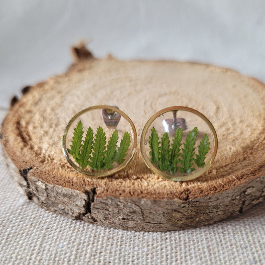 Dried Fern Stud Earrings