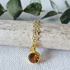 Dainty Amber Charm Necklace
